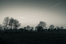 무료 이미지 : 나무, 자연, 잔디, 수평선, 구름, 검정색과 흰색, 하늘, 안개, 해돋이, 일몰, 들, 밤, 햇빛, 아침, 새벽, 분위기, 황혼, 저녁... 