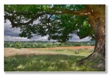 요크셔의 조각 공원 사진 - 무료 이미지 & 무료 이미지 - PxHere