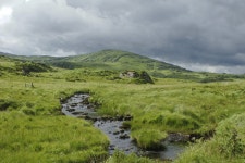 산맥, 목장, 고지, 산등성이, 평원, 습지, 고원, 아일랜드, 되다, 서식지, 흐린 하늘, 생태계, 스텝, 농촌 지역, 육지의, 자연 환 경, 지리적... 