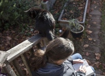 4997x3651 - - 394007 - 무료 이미지 - PxHere 무료 이미지 : 나무... 동물, 2015, 척골가 있는, 365 4997x3651 -  - 394007 - 무료 이미지 - PxHere