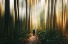 현상, 컴퓨터 벽지 5027x3307 - - 166914 - 무료 이미지 - PxHere 무료... 환 ​​경, 대기 현상, 컴퓨터 벽지 5027x3307 -  - 166914 - 무료 이미지 - PxHere