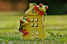 Free Images : grass, lawn, sweet, flower, cute, decoration, green, peaceful, frog, amphibian, yellow, toy, cheerful, fun, figure... 