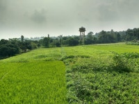 경, 대기 현상, 잔디 가족 4160x3120 - - 186752 - 무료 이미지 - PxHere 무료 이미지 : 경치, 나무, 식물, 들, 농장, 목초지, 대초원, 언덕, 꽃... 