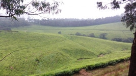 무료 이미지 : 경치, 들, 농장, 목초지, 대초원, 언덕, 꽃, 골짜기... 들, 농장, 목초지, 대초원, 언덕, 꽃, 골짜기, 수확고, 목장, 흙, 농업... 