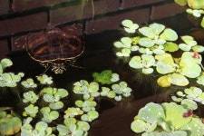 700d Photos - Free Images & Free stock photos - PxHere