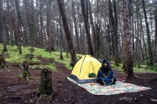 Free Images : tree, forest, wilderness, jungle, camping, kayak, tent, woodland, habitat, ecosystem, outdoor recreation 3968x2976... 