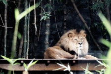 Tarongazoo Photos - Free Images & Free stock photos - PxHere