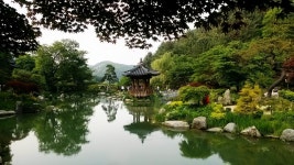 무료 이미지 : 자연, 목재, 꽃, 강, 반사, 밀림, 정원, 열대 우림, 식물원, 수목원, 한옥, 물고기 연못 2304x1296 - - 1117616 - 무료 이미지... 
