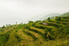 마을, 목장, 농업, 산등성이, 평원, 테라스, 초목, 농원, 고원, 서식지, 생태계, 농촌 지역, 지리적 특징, 대기 현상, 산악 지형 4288x2848... 