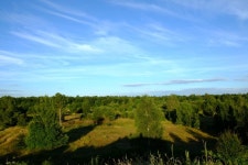 숲의 흔적 사진 - 무료 이미지 & 무료 이미지 - PxHere