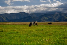 3264x2448 - - 5110 - 무료 이미지 - PxHere 무료 이미지 : 경치, 잔디... 경, 지리적 특징, 대기 현상, 산악 지형 3264x2448 -  - 5110 - 무료 이미지 - PxHere