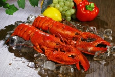 무료 이미지 : 미국 가재, Homarus, 가시 랍스터, 해물, 요리, 왕새우, 십 면체, 갑각류, 케이준 음식, 무척추 동물, Lobster... 