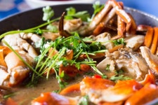 Crap Photos - Free Images & Free stock photos - PxHere