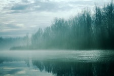 Free Images : landscape, tree, nature, forest, cold, winter, cloud, sky, fog, sunrise, mist, white, sunlight, cloudy, morning... 
