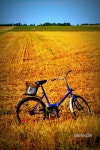 Dzierz nia Photos - Free Images & Free stock photos - PxHere