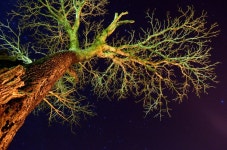 금 사진 - 무료 이미지 & 무료 이미지 - PxHere