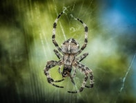 Eat Photos - Free Images & Free stock photos - PxHere