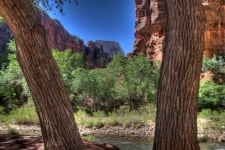 무료 이미지 : 나무, 모험, 밀림, 공원, 관광 여행, 유타, 시온... 유타, 시온, 스크린 샷, 우디 식물 2376x1581 -  - 357871 - 무료 이미지... 