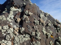 무료 이미지 : 록, 벽, 흙, 지역, 자료, 산등성이, 지질학, 지질... 산등성이, 지질학, 지질 학적 현상 3968x2976 -  - 203992 - 무료... 