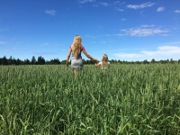 무료 이미지 : 식물, 하늘, 들, 농장, 목초지, 대초원, 꽃, 여름... 들, 농장, 목초지, 대초원, 꽃, 여름, 수확고, 닫다, 아가, 농원, 서식지... 