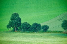 녹색, 목장, 농업, 평원, 농촌 지역, 논, 자연 환 경, 대기 현상... 녹색, 목장, 농업, 평원, 농촌 지역, 논, 자연 환 ​​경, 대기 현상... 