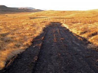 무료 이미지 : 경치, 수평선, 황야, 산, 도로, 들, 대초원, 언덕, 골짜기, 아스팔트, 흙길, 아이슬란드, 평원, 목초지, 하부 구조, 고원... 