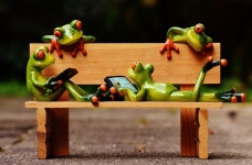 Free Images : computer, sweet, cute, green, rest, amphibian, toy, fauna, tree frog, relaxation, figure, vertebrate, funny, lying... 