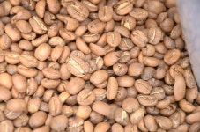 무료 이미지 : 자연, 커피, 식품, 생기게 하다, 야채, 수확고, 카페인, 텍스처, 꽃 피는 식물, 잔디 가족, 육상 식물, 보통 콩 4928x3264... 