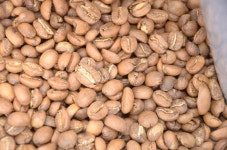 무료 이미지 : 자연, 커피, 식품, 생기게 하다, 야채, 흙, 카페인, 텍스처, 잔디 가족 4928x3264 - - 605024 - 무료 이미지 - PxHere 무료... 