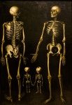 Free Images : dark, statue, box, black, death, skull, muscle, painting, war, family, art, illustration, skeleton, bones, plague... 