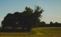 황혼, 목장, 흙, 농업, 평원, 생태계, 농촌 지역, 대기 현상, 우디 식물 3852x2381 - - 68779 - 무료 이미지 - PxHere 무료 이미지 : 경치, 나무... 