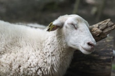 그를 사진 - 무료 이미지 & 무료 이미지 - PxHere