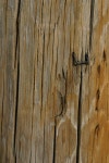 Telephone pole Photos - Free Images & Free stock photos - PxHere