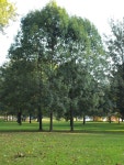 Main meadows Photos - Free Images & Free stock photos - PxHere