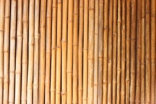 2960x2150 - - 800005 - Free stock photos - PxHere Free Images... window covering 2960x2150 -  - 800005 - Free stock photos - PxHere