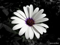 Ensoleill Photos - Free Images & Free stock photos - PxHere