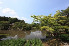 조라쿠 엔 사진 - 무료 이미지 & 무료 이미지 - PxHere