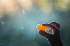 무료 이미지 : 하늘, 잎, 손가락, 노랑, 주황색, 구름, 햇빛, 나무, 사진술, 식물, 꽃, Colorfulness, 기상 현상, 무지 5760x3840... 