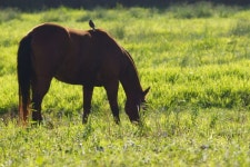 Hawaiikauai Photos - Free Images & Free stock photos - PxHere