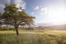 언덕, 목장, 가을, 평원, 서식지, 생태계, 농촌 지역, 자연 환 경, 대기 현상, 잔디 가족, 우디 식물 4878x3253 - - 139563 - 무료 이미지 - PxHere... 