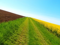 Free Images : landscape, nature, path, horizon, hiking, field, meadow, prairie, sunlight, hill, flower, perspective, dirt road... 