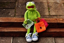 Free Images : green, color, money, textile, euro, kermit, shopping bags, stuffed toy 4088x2659 - - 398764 - Free stock photos... 