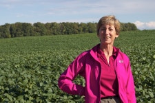 무료 이미지 : 농장, 꽃, 수확고, 유채, 오디세이, 플라스틱, 허들 라운지, 농업 경제학자, 잔디 가족, 농가 4752x3168 - - 354334 - 무료... 