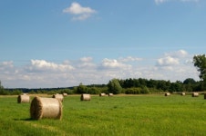 Free Images : landscape, nature, field, farm, meadow, prairie, harvest, pasture, grazing, ranch, iceland, agriculture, plain... 