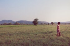 무료 이미지 : 경치, 수평선, 황야, 들, 목초지, 대초원, 아침, 언덕, 목장, 농장, 농업, 평원, 서식지, 원정 여행, 생태계, 스텝, 농촌 지역... 