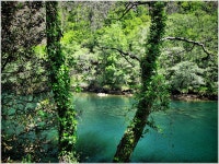 우림, 유로파, 아구아, 리오, 갈리시아, 마이 게란 트 메, 삼림지, 서식지, 생태계, 에스파냐, 갈리자, 오우거, Galice, 라코 루나, 아... 