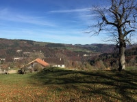 Free Images : landscape, tree, grass, mountain, farm, meadow, hill, valley, pasture, autumn, plateau, jura, homestead, rural area... 