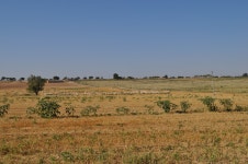 무료 이미지 : 경치, 황야, 들, 목초지, 대초원, 야생 생물, 군중, 목장, 방목, 농장, 흙, 동물 상, 평원, 얼룩, 고원, 서식지, 원정 여행... 