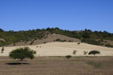 땅의 제비 4020x2680 - - 311990 - 무료 이미지 - PxHere 무료 이미지 : 경치, 들, 대초원, 언덕, 농장, 흙, 니콘, 농업, 평원, 칠레, 목초지... 