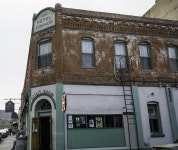 미루 나무 사진 - 무료 이미지 & 무료 이미지 - PxHere